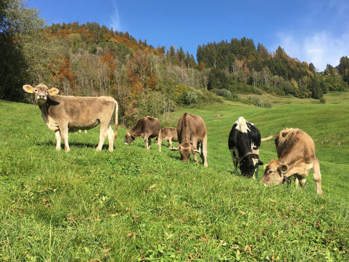 Schmiedlarhof Apartment Au (Vorarlberg) Екстериор снимка
